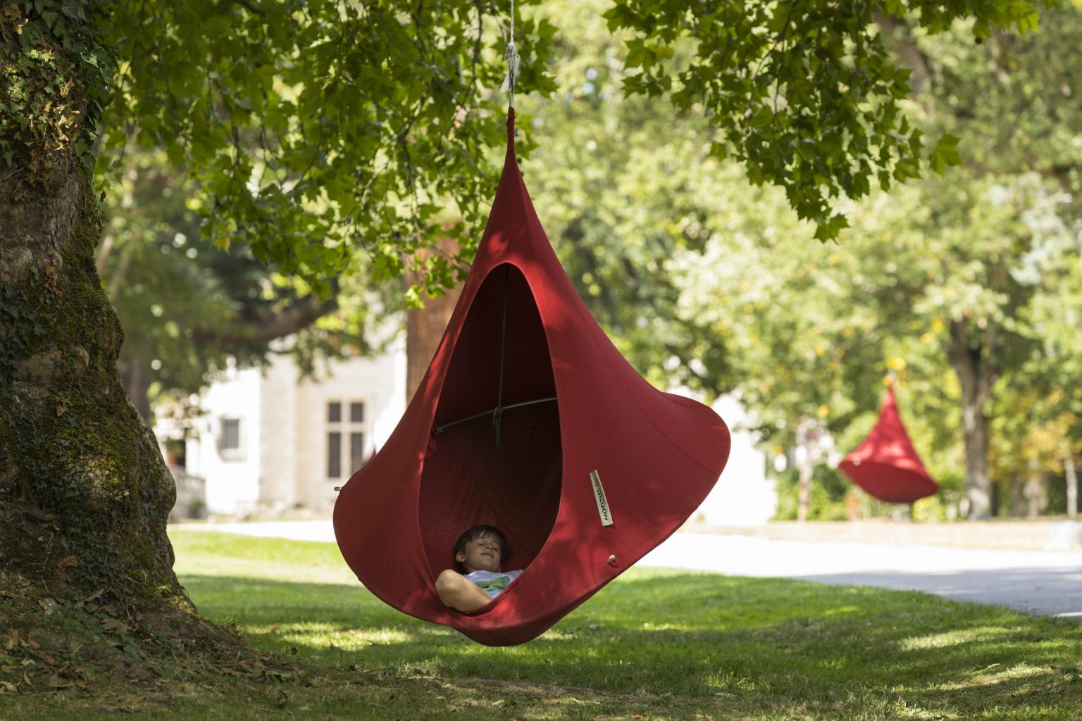 Steven-FREMONT-4-1536×1024-1