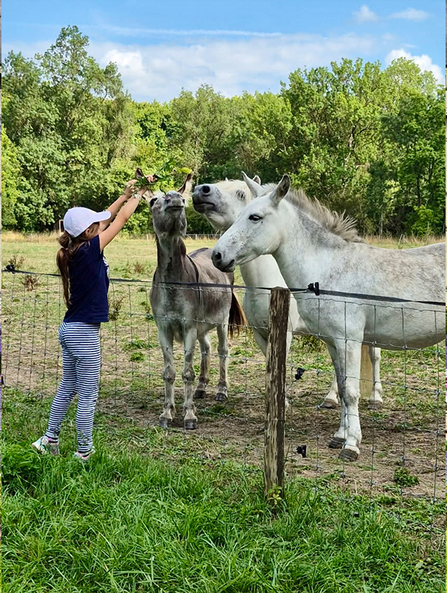 Activites diurnes-12