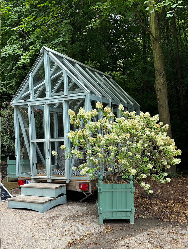 un parc majestueux-12